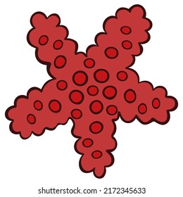 Starfish. Red inhabitant of the ocean. Marine invertebrate animal with a red pattern. Color vector illustration. Isolated background. Cartoon style. Idea for web design.