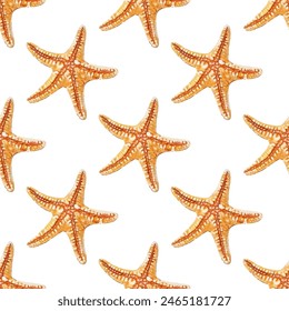 Starfish, red orange  sea star vector seamless pattern. Caribbean underwater animal. Starfish  echinoderms invertebrate wildlife creature. Aquatic animal.