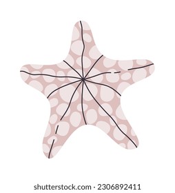 Starfish Sea Animal Vector Illustration