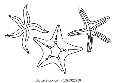 Starfish. Sea creatures. Under the water. Black and white vector illustration. Coloring book. Adults, children. Sea animals.