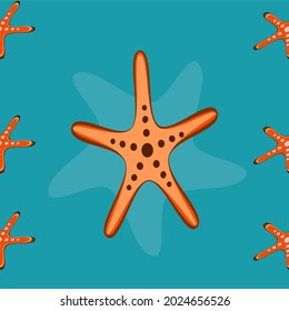 starfish, sea illustration shells, hand drawn sea stars,Beautiful Marine Design Elements Vector Suitable for prints and patterns.