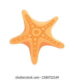 starfish sea life icon isolated