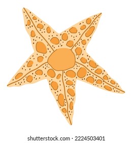 starfish sea life icon isolated