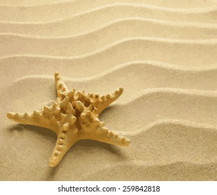 Starfish with sea sand as background vector illustration EPS 8.