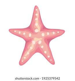 starfish sea shell color pink isolated icon vector illustration design