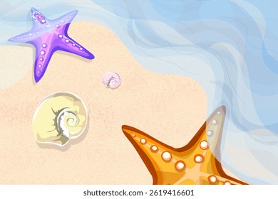 starfish and sea snails on the sand with waves crashing on the beach