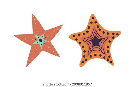 Starfish or Sea Star as Asteroidea Marine Specie from Ocean Bottom Vector Set