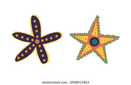 Starfish or Sea Star as Asteroidea Marine Specie from Ocean Bottom Vector Set
