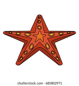 starfish or sea star icon image 