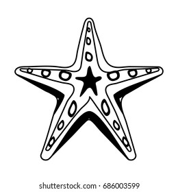 starfish or sea star icon image 