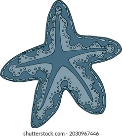 starfish sea vector isolated hand drawing sketch blue