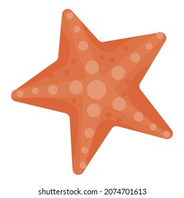 starfish sealife animal isolated icon