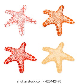 Starfish set isolated on white background. Vector Illustration