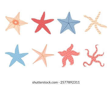 starfish set, mollusk. Trendy flat illustration of seashells collection isolated on white for stickers.