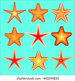 Starfish, a set of nine options