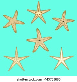 Starfish, a set of six options
