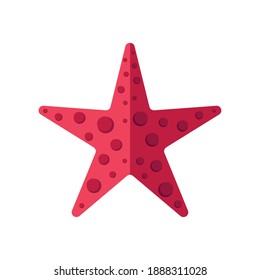 diseño de imagen vectorial de icono de la concha de estrella animal de estilo plano