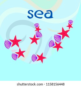 starfish shell sea vector background