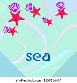 starfish shell sea vector background