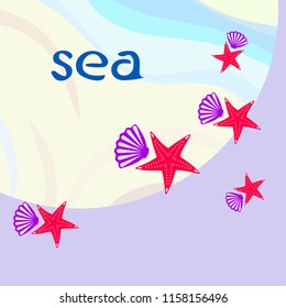 starfish shell sea vector background