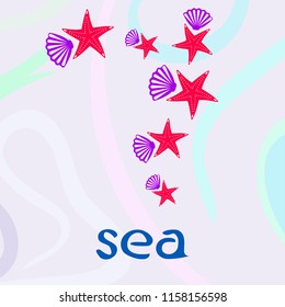 starfish shell sea vector background