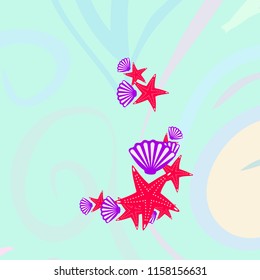 starfish shell sea vector background