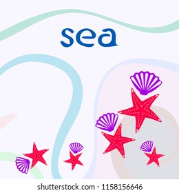 starfish shell sea vector background