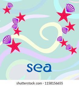 starfish shell sea vector background