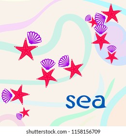 starfish shell sea vector background