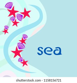starfish shell sea vector background