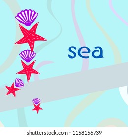 starfish shell sea vector background
