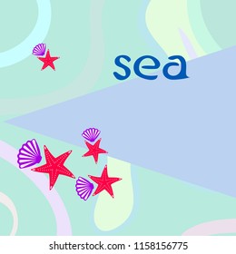 starfish shell sea vector background