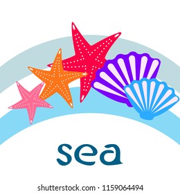 starfish shell sea vector background
