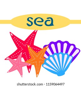 starfish shell sea vector background