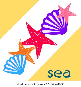 starfish shell sea vector background