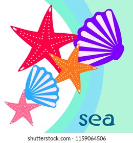 starfish shell sea vector background