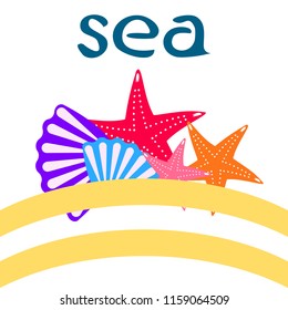 starfish shell sea vector background