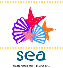 starfish shell sea vector background