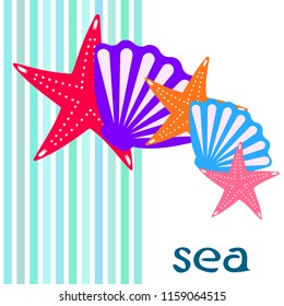 starfish shell sea vector background