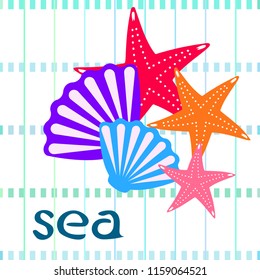 starfish shell sea vector background