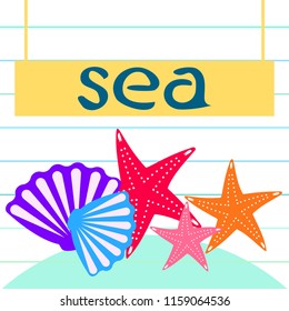 starfish shell sea vector background
