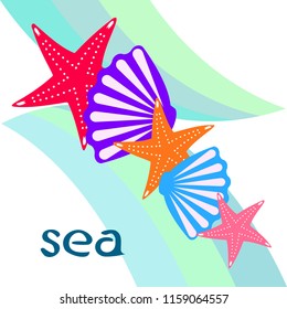 starfish shell sea vector background