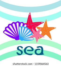 starfish shell sea vector background