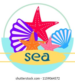 starfish shell sea vector background