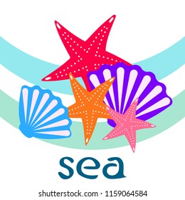 starfish shell sea vector background