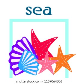 starfish shell sea vector background