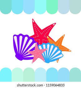 starfish shell sea vector background