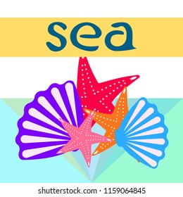 starfish shell sea vector background