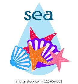 starfish shell sea vector background