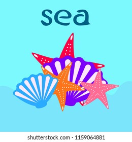 starfish shell sea vector background